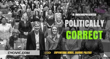Exploring the Nuances of Political Correctness in Representation