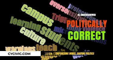 Exploring the Nuances of Political Correctness in Underserved Communities