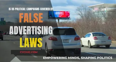 Political Campaigns: False Advertising or Fair Game?