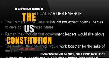 US Political Parties: Constitutional or Not?