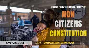 Tax Money for Non-Citizens: Constitutional?