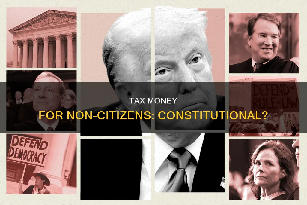 is using tax payers money to support non citizens constitutional