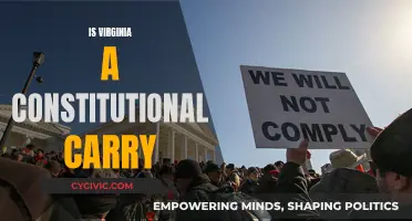 Virginia's Constitutional Carry: What Does It Mean?
