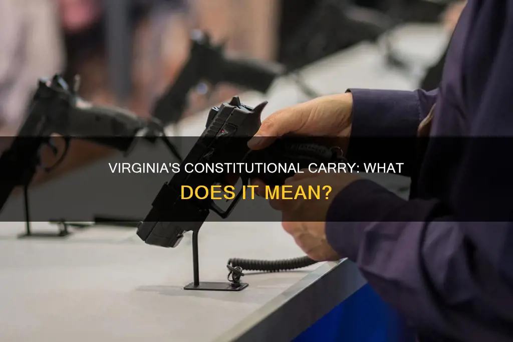 is virginia a constitutional carry