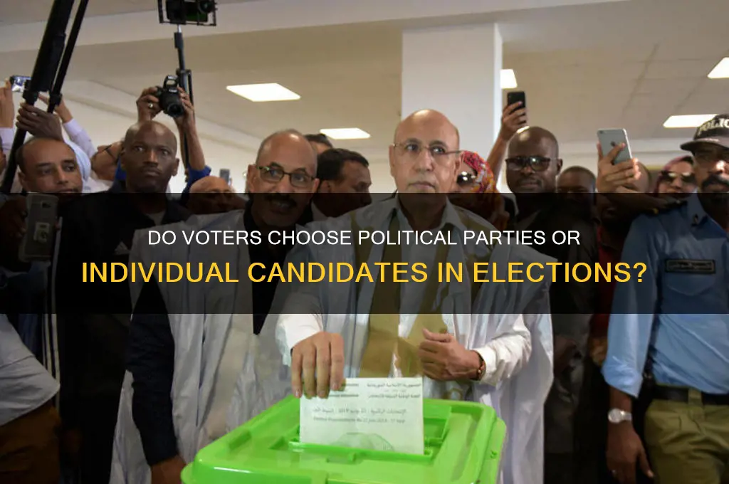 is vote in general election based on political party