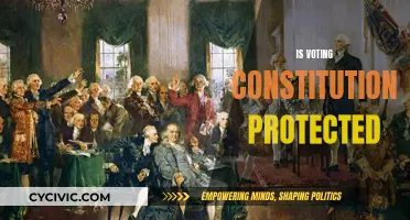 Voting Rights: Are They Constitutionally Protected?