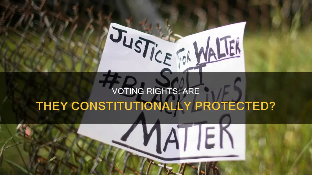 is voting constitutionally protected