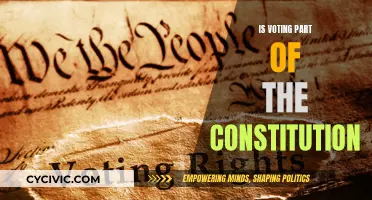 Voting: A Constitutional Right or Not?