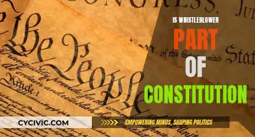 Whistleblower Protections: Are They Constitutional?