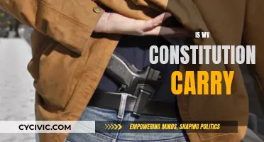 West Virginia's Constitutional Carry: What Does It Mean?