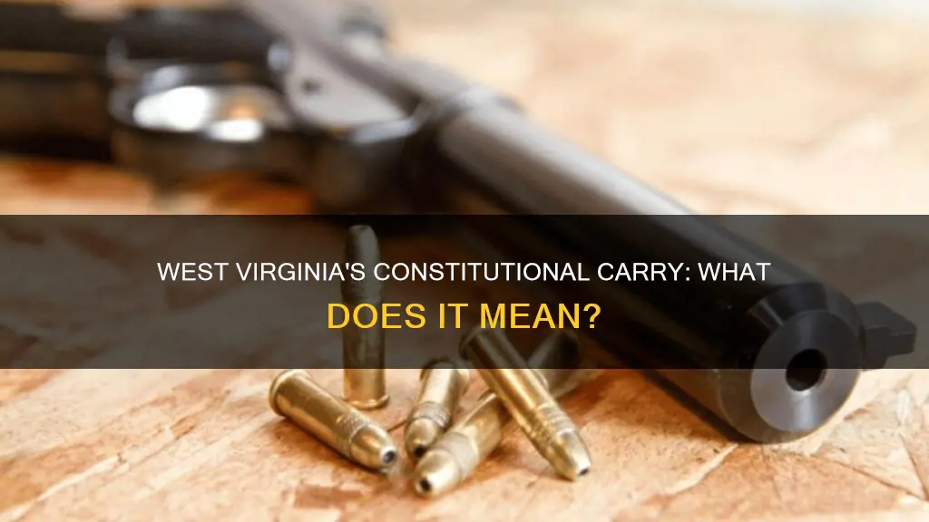 is wv constitutional carry