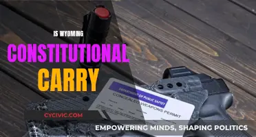 Wyoming's Constitutional Carry: Understanding the Law and Your Rights
