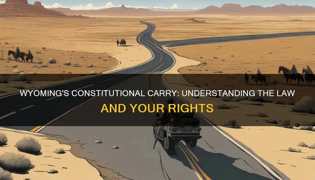 is wyoming constitutional carry