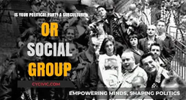 Political Parties: Subcultures, Social Groups, or Something Else?