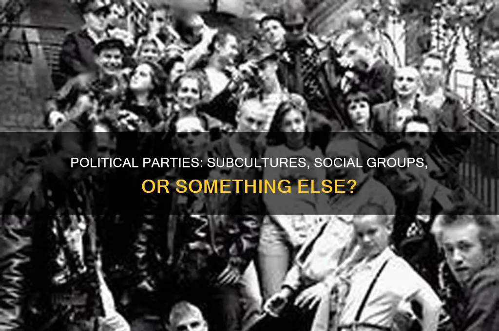 is your political party a subculture or social group