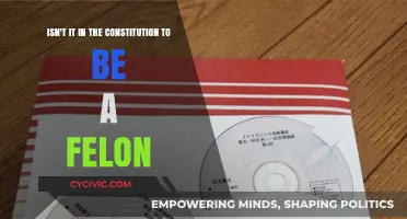 Felons and the Constitution: What's the Deal?