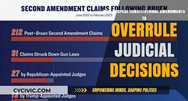 Proposing Amendments: Overruling Judicial Decisions