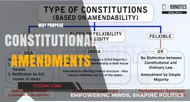 Amending the Constitution: A Citizen's Guide