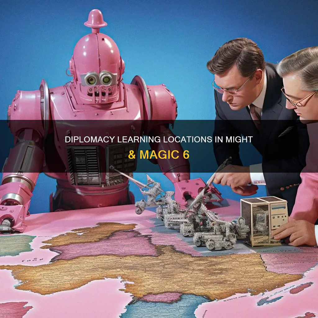 might and magic 6 where can i learn diplomacy