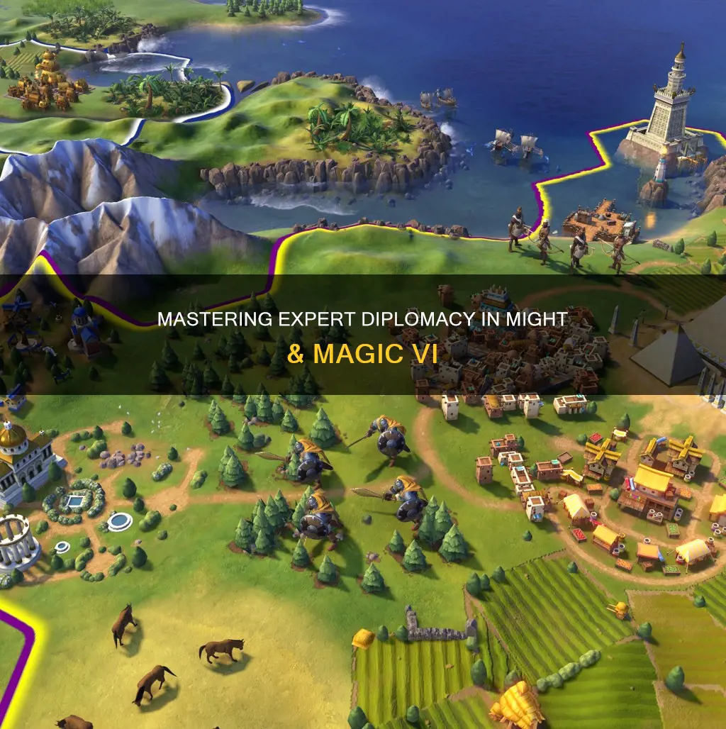 might and magic vi expert diplomacy