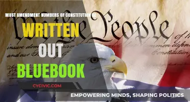 Writing Out Constitutional Amendments: Bluebook Style Guide