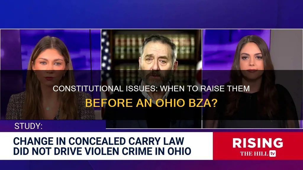 must constitutional issues be raised before ohio bza