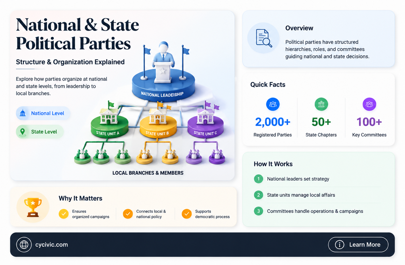 are political parties organized at the national and state levwls