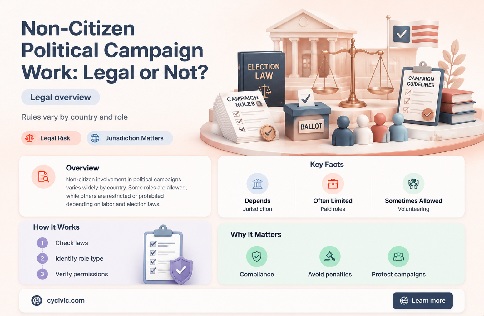 can a non-citizen work on a political campaign usa