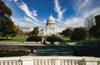 political affect