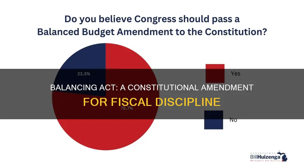 should a balanced budget amendment be added to the constitution