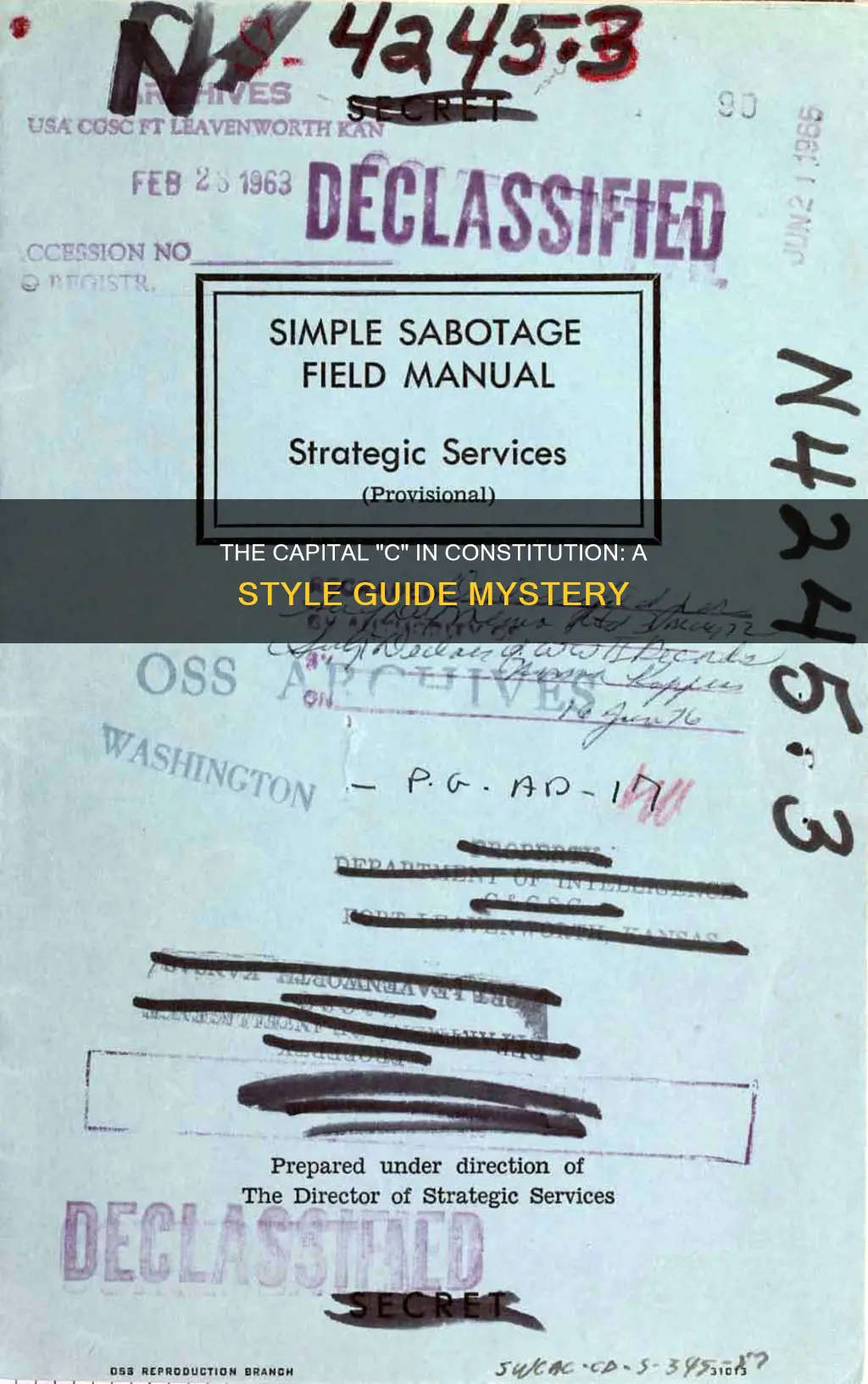 should a capital c be used for the word constitution