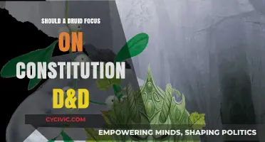 Constitution Conundrum: Druid's Focus on Health?