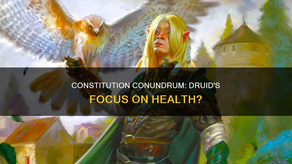 should a druid focus on constitution d&d