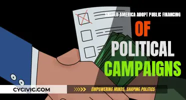 Public Financing of Political Campaigns: America's Future?