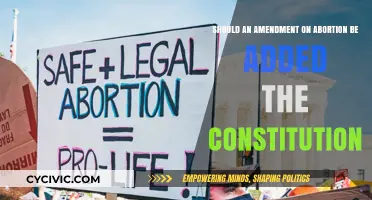 Abortion Amendments: Changing the Constitution?