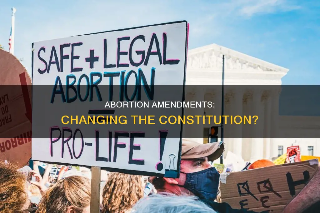 should an amendment on abortion be added the constitution
