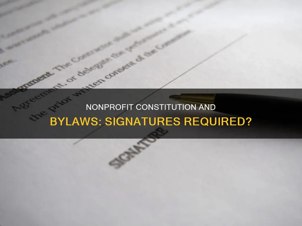 should constitution and bylaws for nonprofit be signed