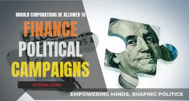 Corporate Money in Politics: Should We Allow It?