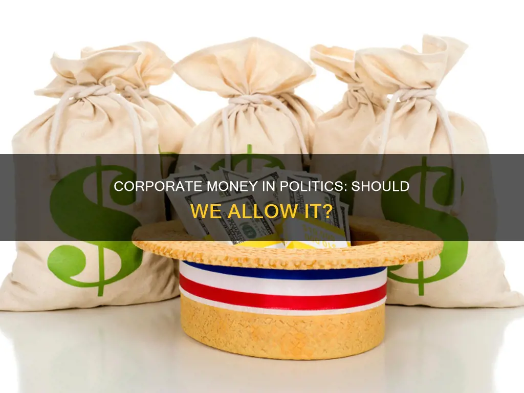should corporations be allowed to finance political campaigns