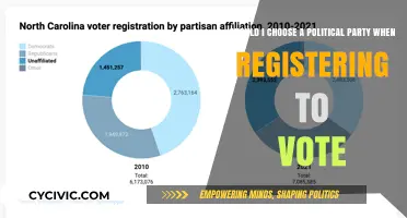 Choosing a Political Party When Registering to Vote: Pros and Cons