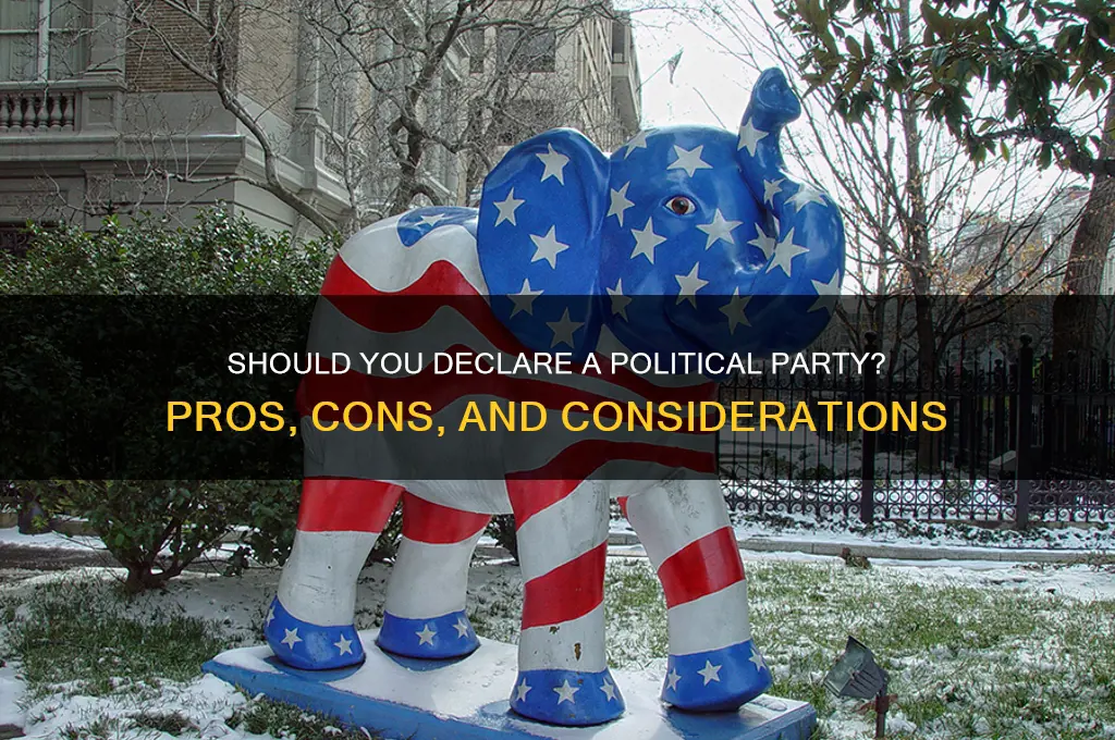 should i declare a political party