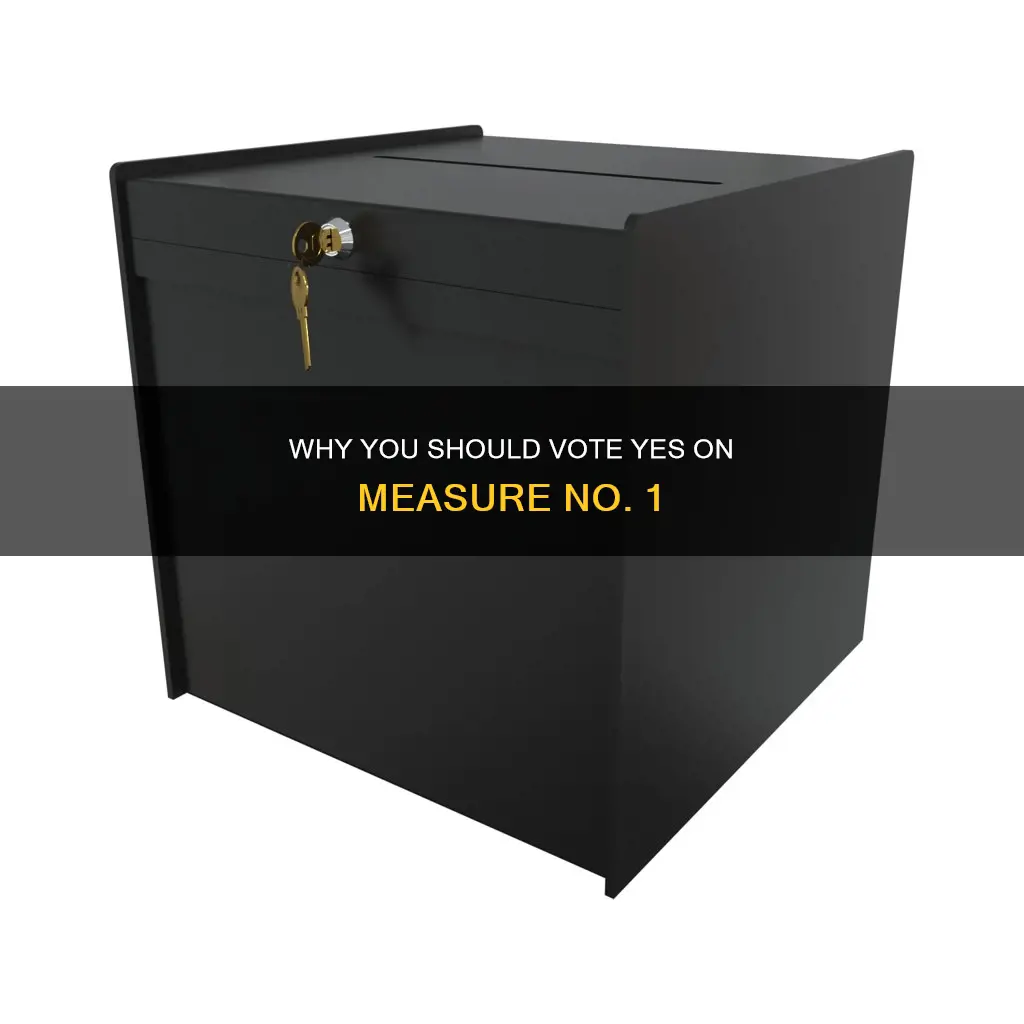 should i vote yes for initiated constitutional measure no 1