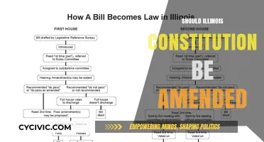 Amending Illinois Constitution: Is It Necessary?