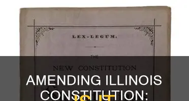should illinois constitution be amended