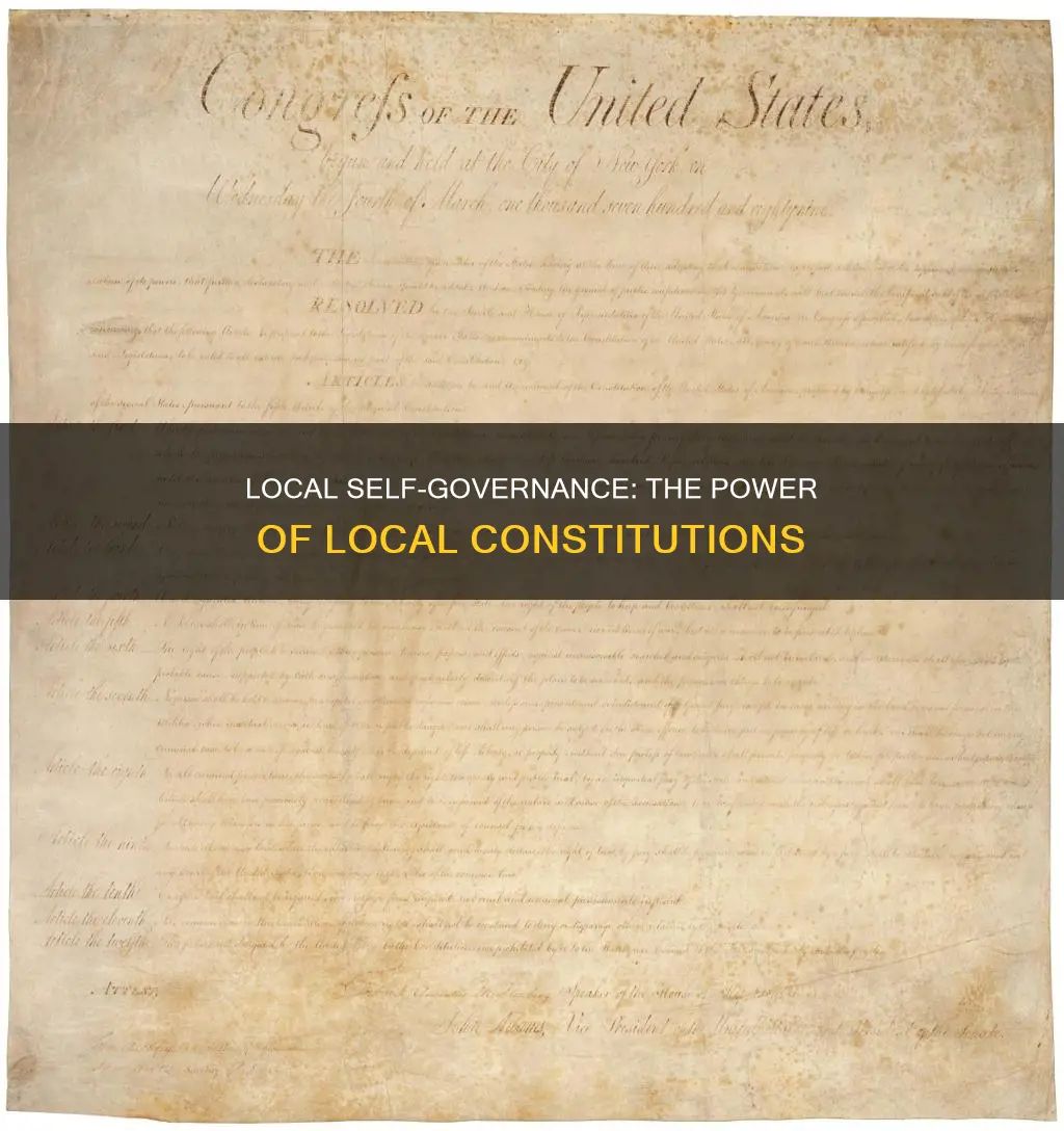 should localities be able to form their own constitutions