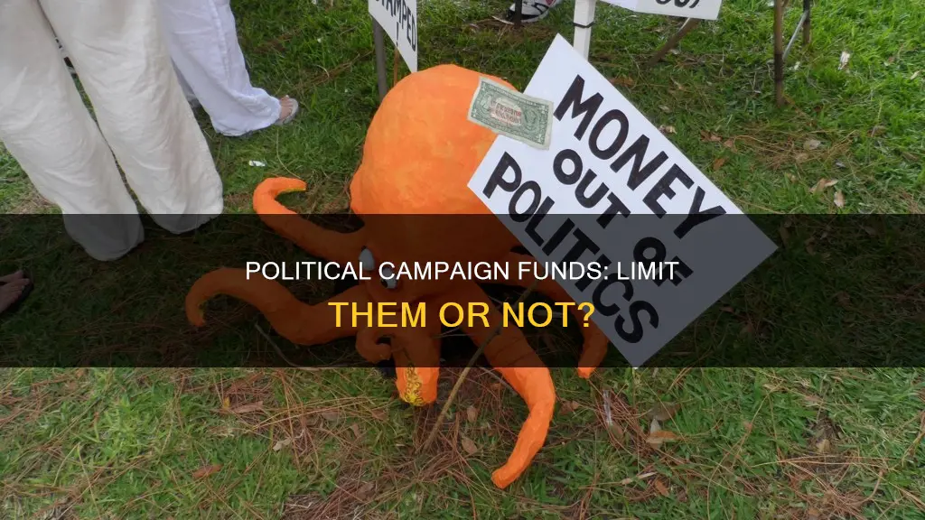should political campaign funds be limited