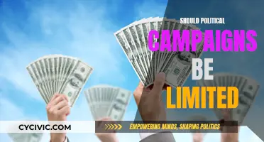 Limiting Political Campaigns: Democracy's Friend or Foe?