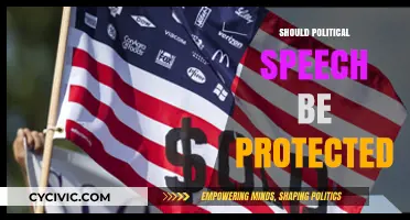 Protecting Political Speech: Balancing Free Expression and Social Responsibility