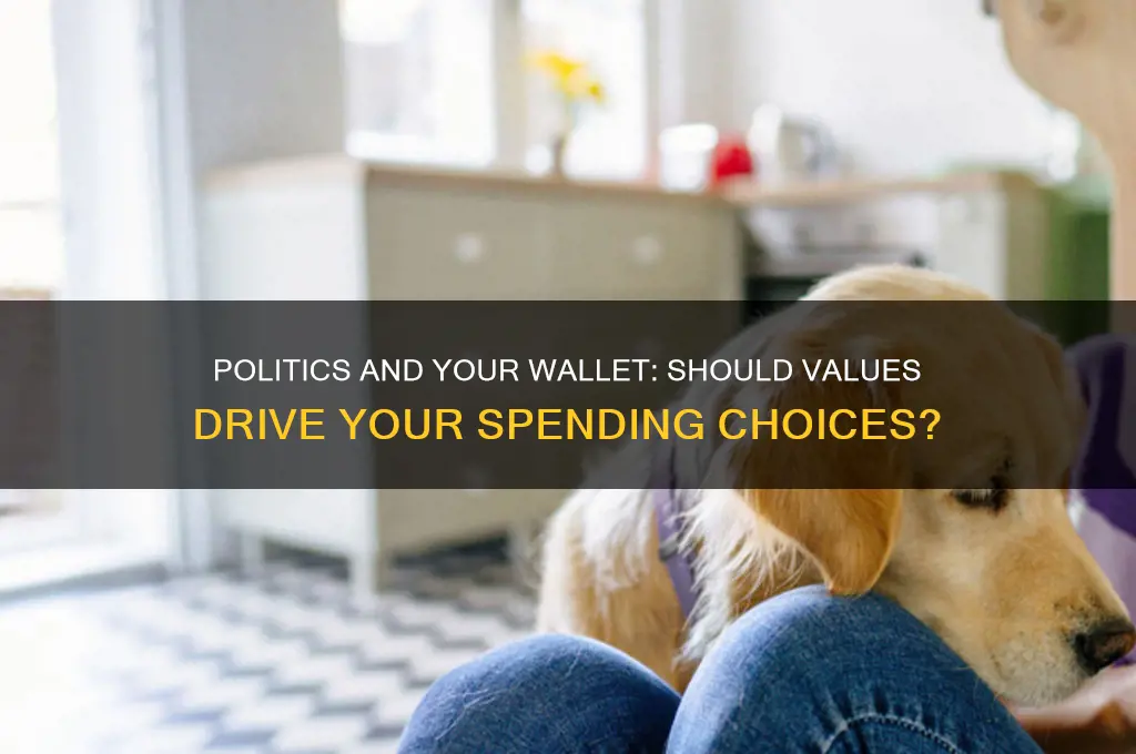 should politics influnce your spending