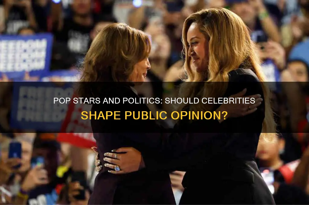 should pop stars become political
